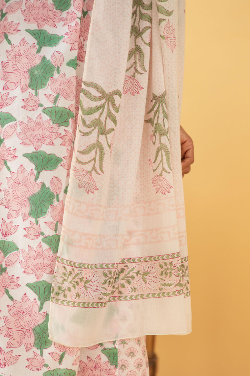 Roz Meher Saira Dupatta