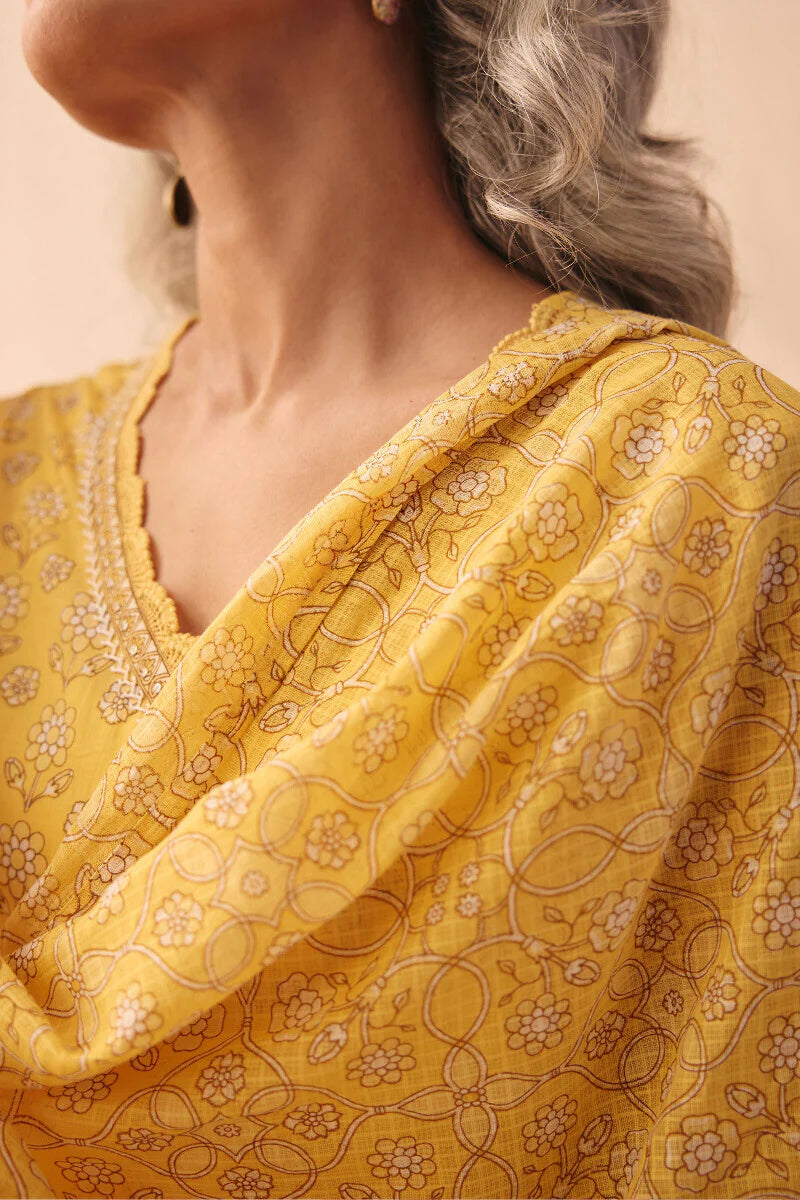 Surplus: Gulraiz Saisha Dupatta