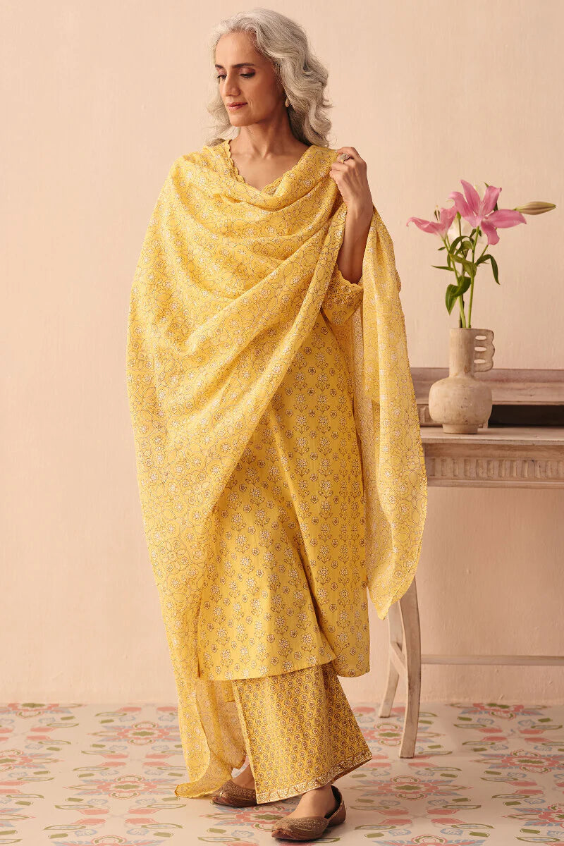 Surplus: Gulraiz Saisha Dupatta