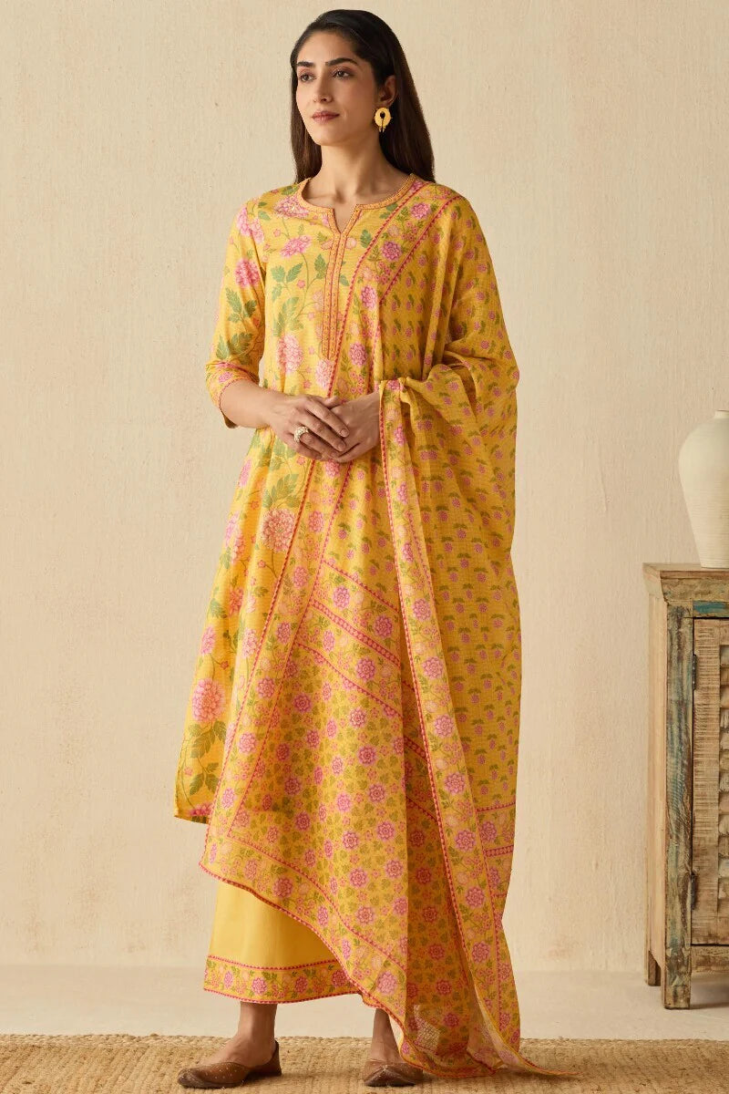 Surplus: Meher Saima Kurta