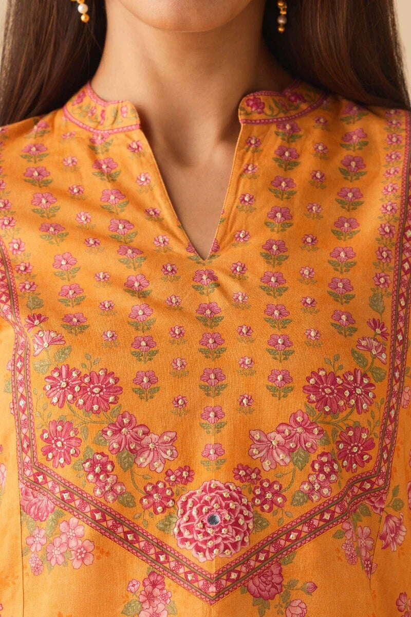 Surplus: Meher Gulbano Kurta