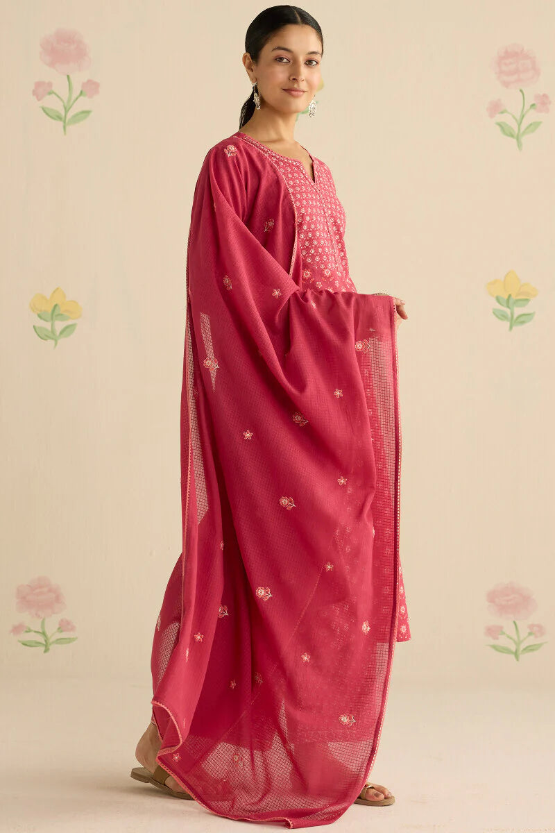 Surplus: Gulraiz Mahima Sanganeri Kurta