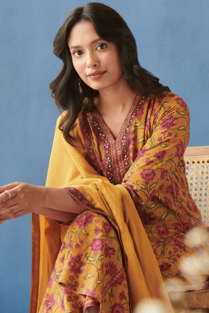 Surplus: Mahnoor Amyra Kurta