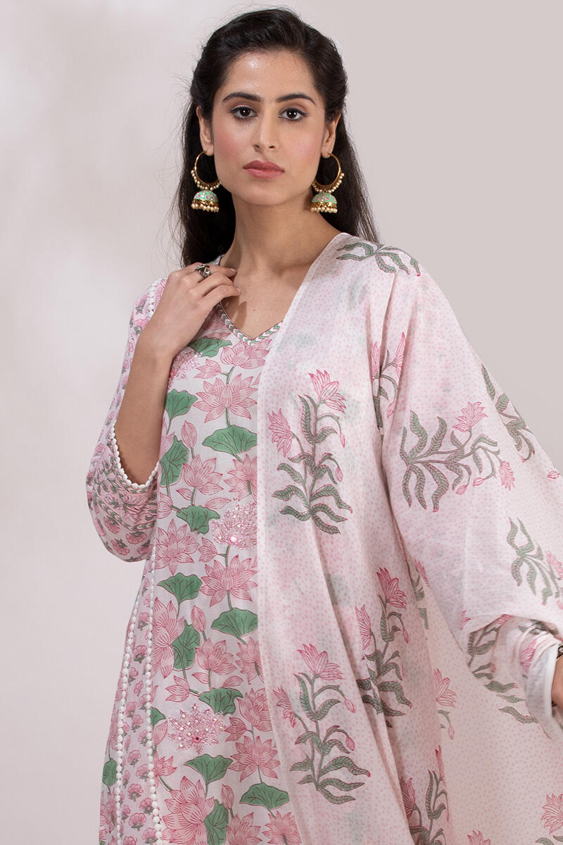 Roz Meher Afra Dupatta