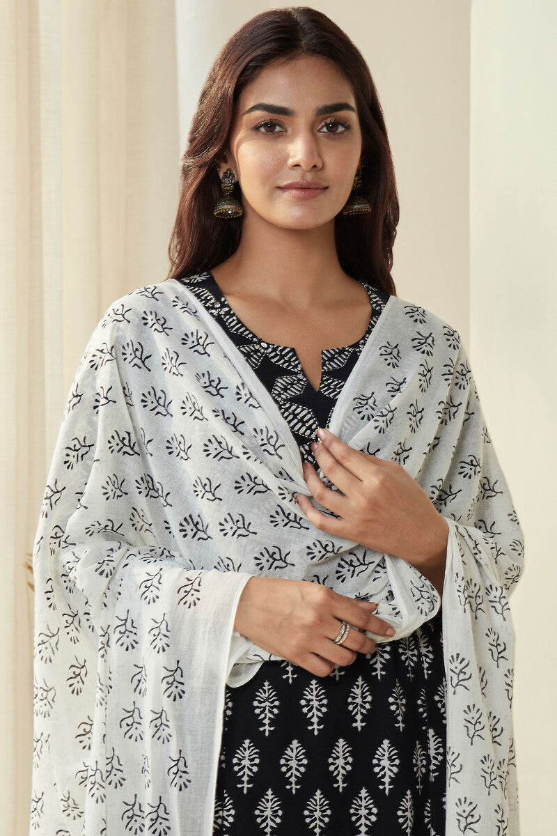 Mirza Ameera Dupatta