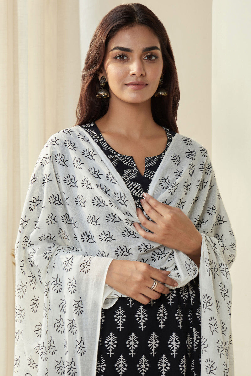 Mirza Ameera Dupatta