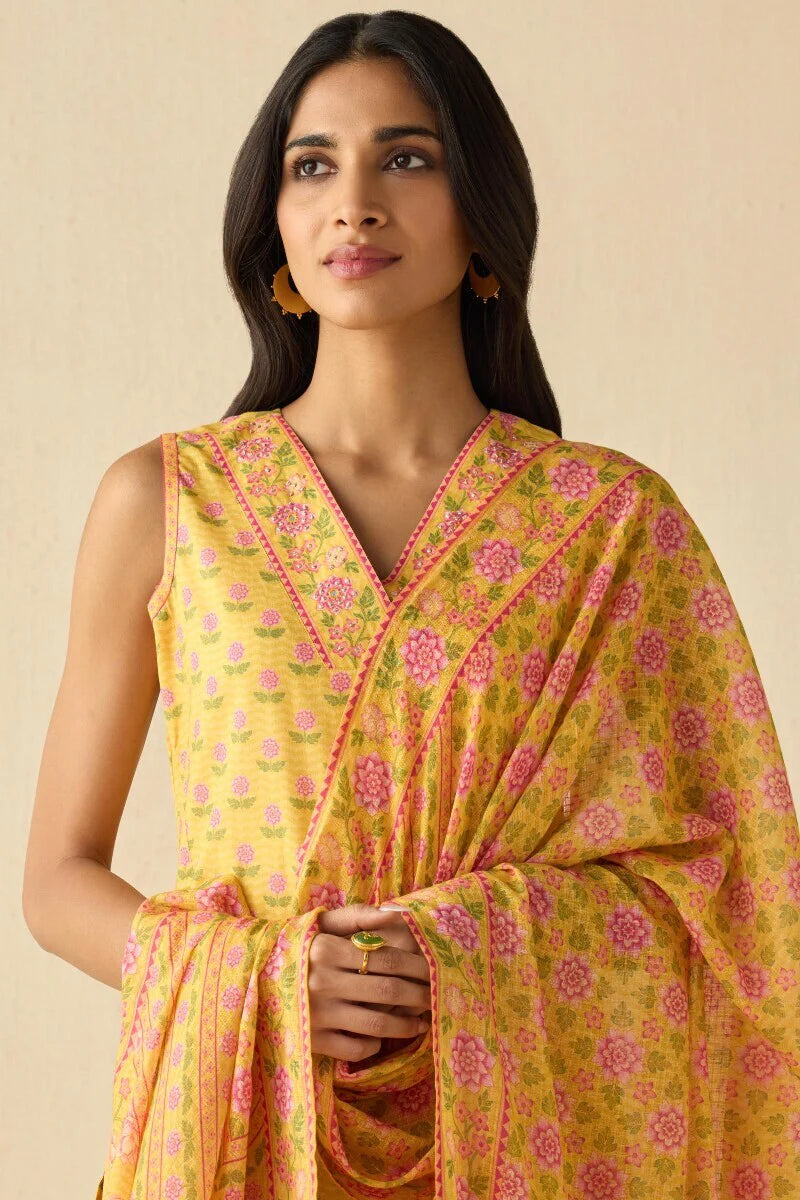 Surplus: Meher Bahara Dupatta