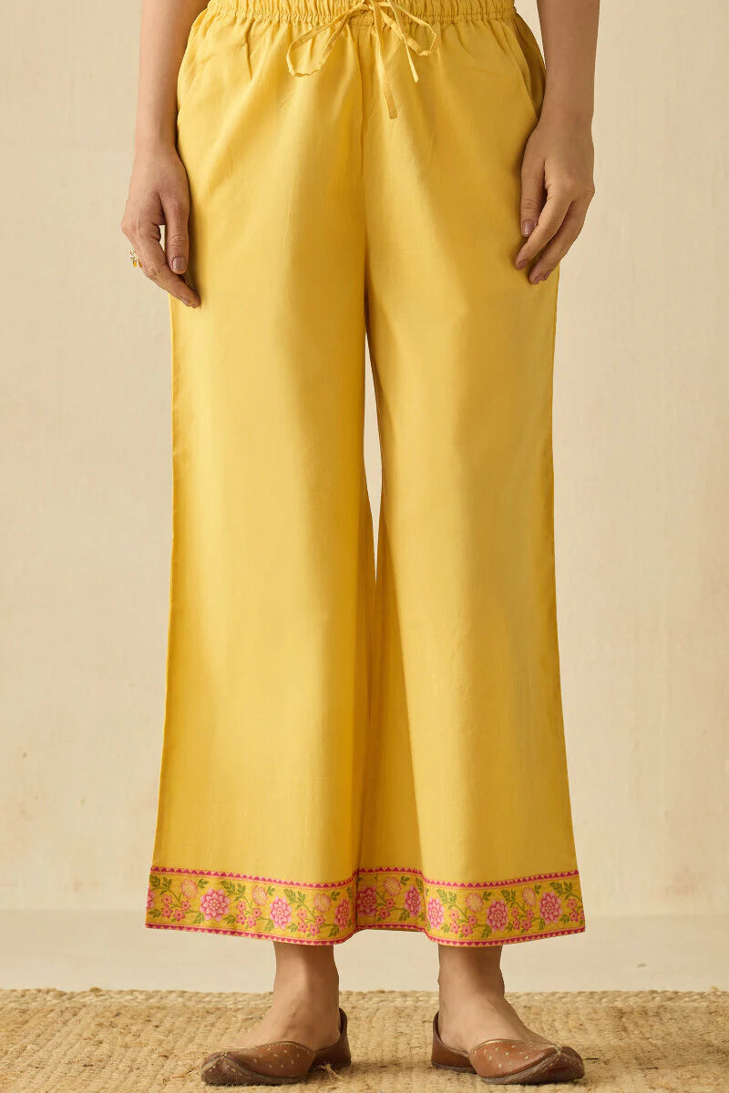 Surplus: Meher Sneha Farsi