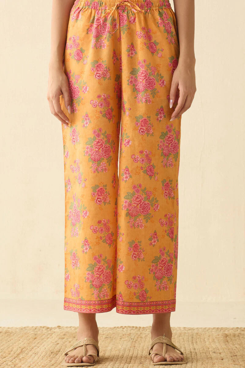 Surplus: Meher Falak Farsi