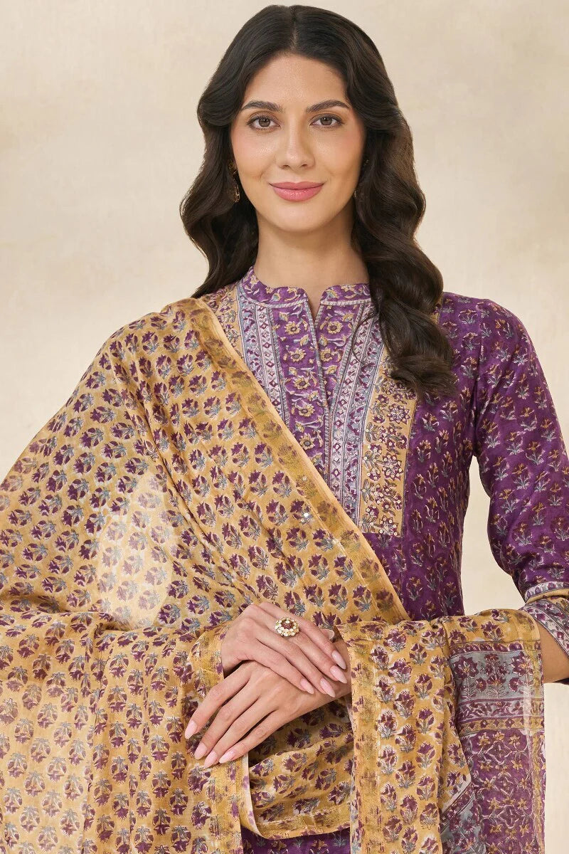 Surplus: Mehrunissa Gulnaaz Chanderi Dupatta