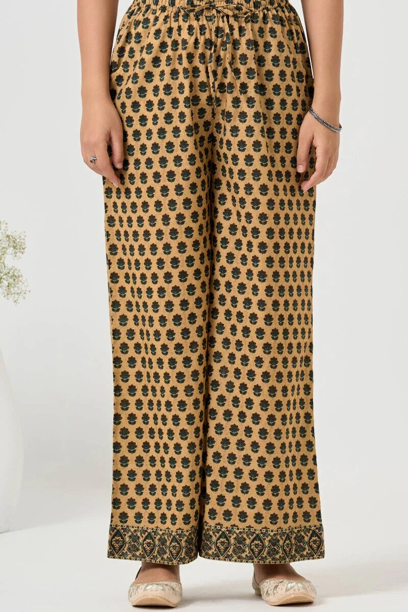 Surplus: Rangrez Nazneen Farsi