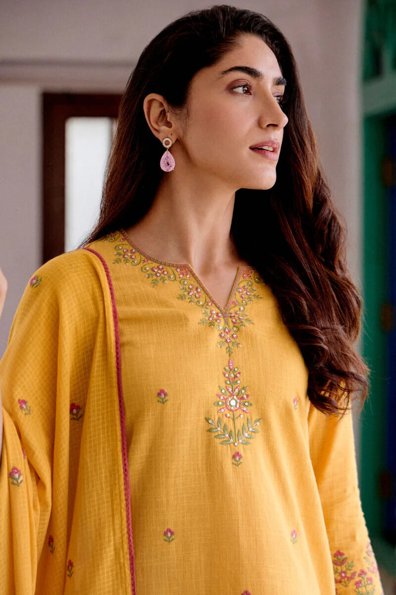 Surplus: Mehraab Shanaya Kurta