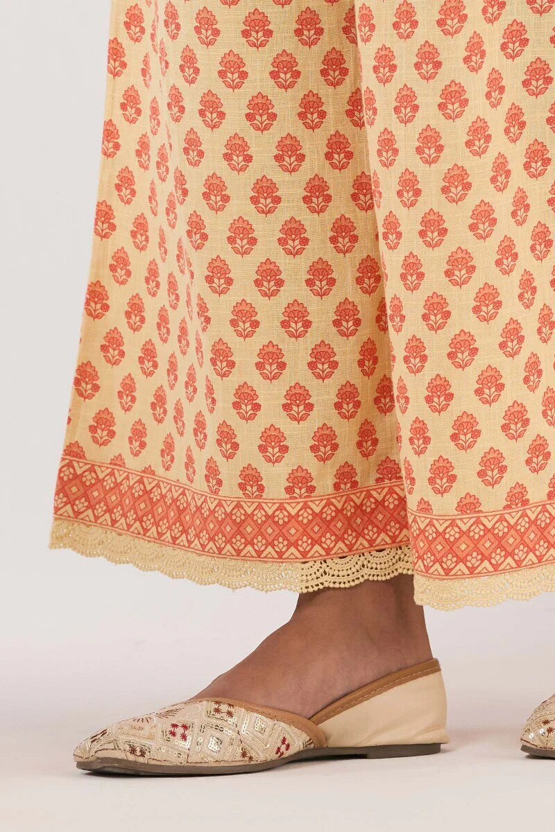 Surplus: Gulshan Bagh Sabira Sanganeri Farsi