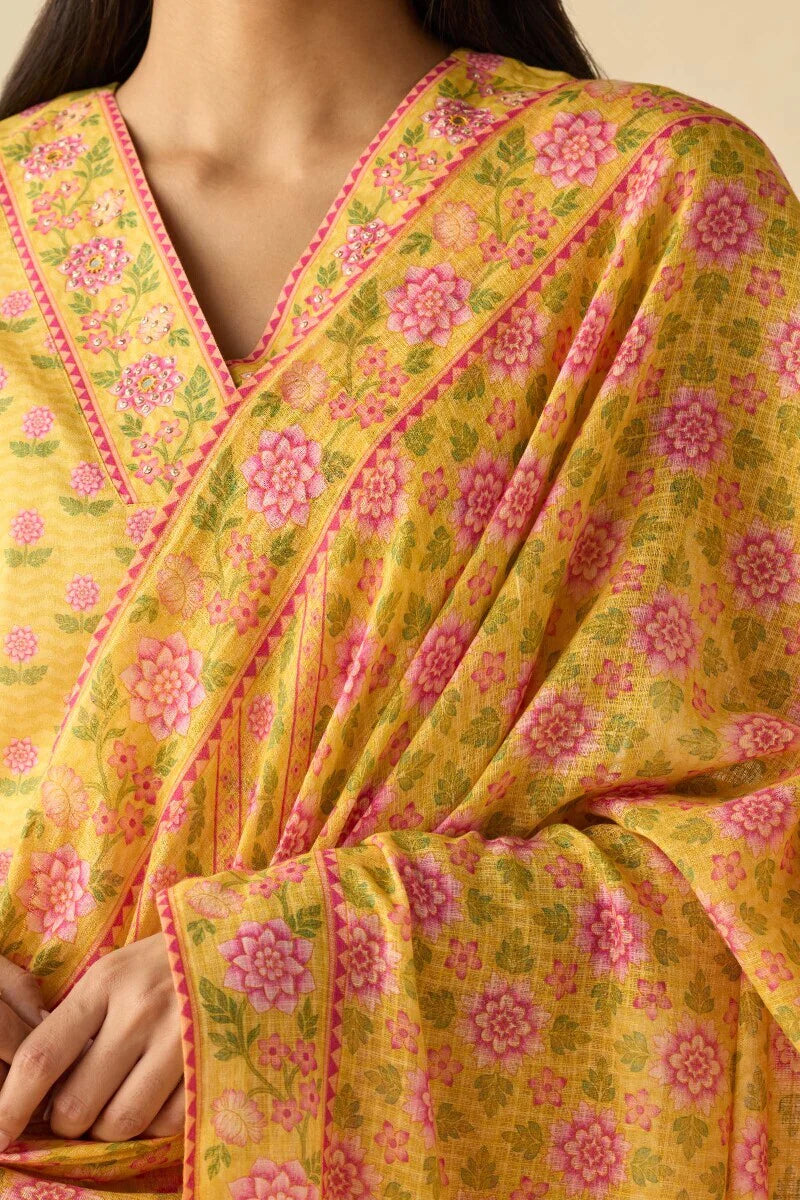 Surplus: Meher Bahara Dupatta