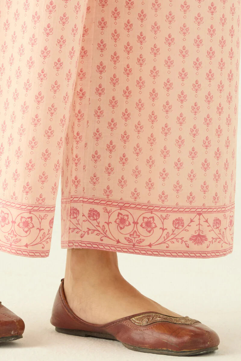 Surplus: Rosheen Ruhi Farsi