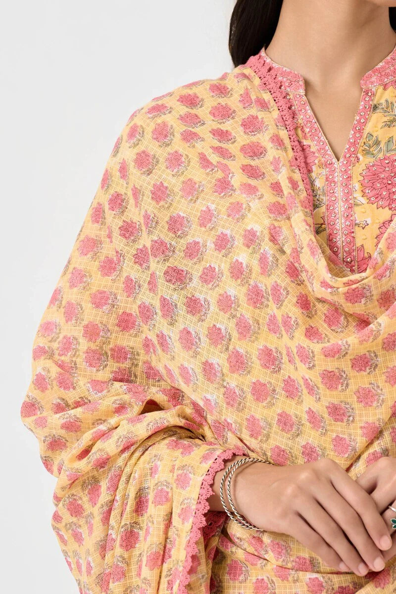Surplus: Gauhar Shaira Dupatta