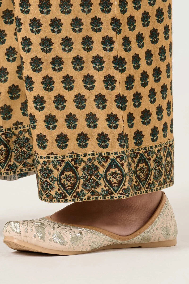 Surplus: Rangrez Nazneen Farsi