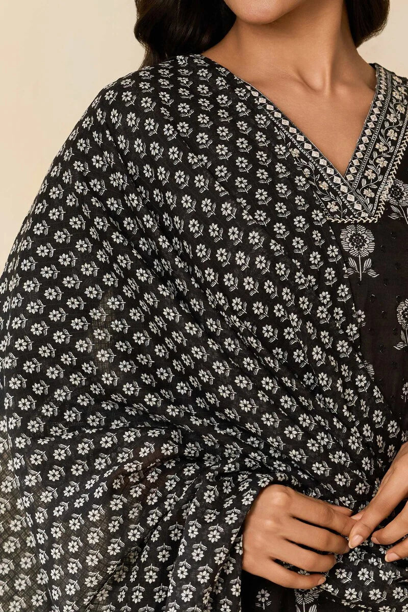 Surplus: Mumtaz Naisa Dupatta