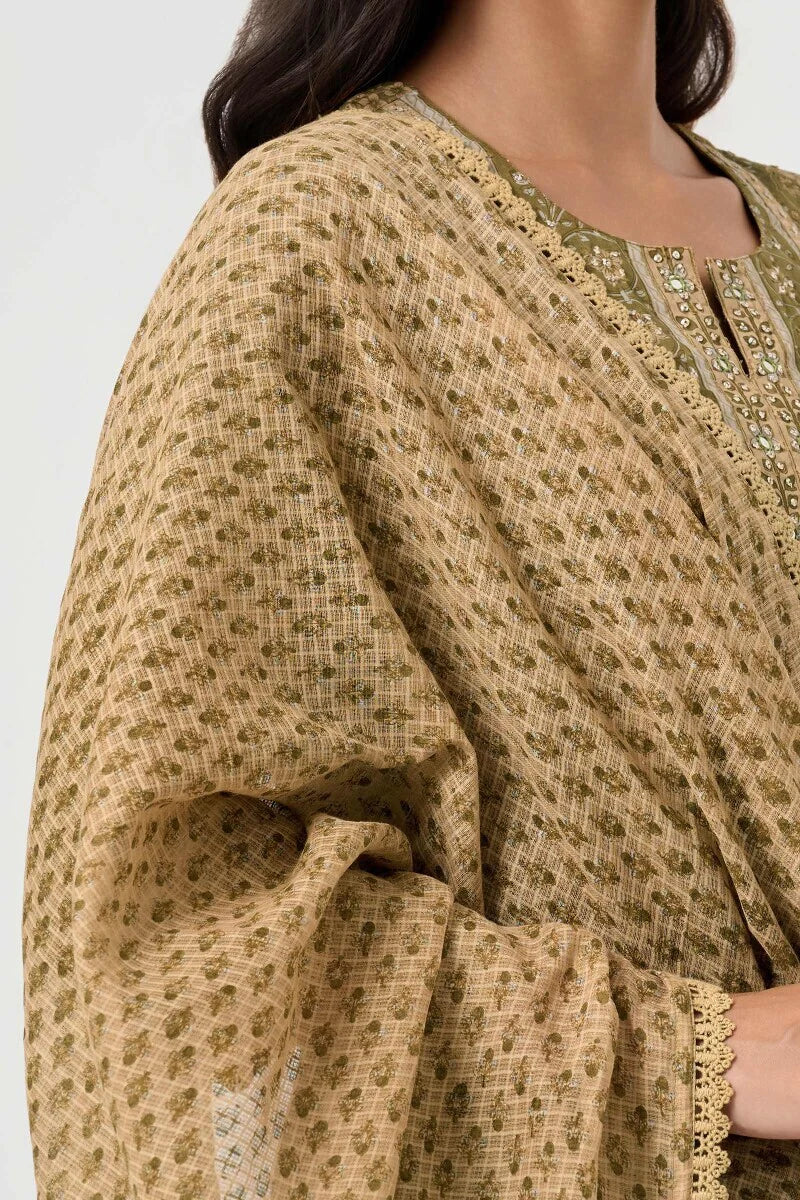 Surplus: Nasrine Nasreen Dupatta