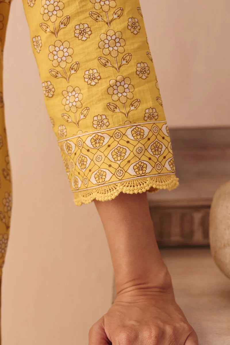 Surplus: Gulraiz Nargis Sanganeri Kurta