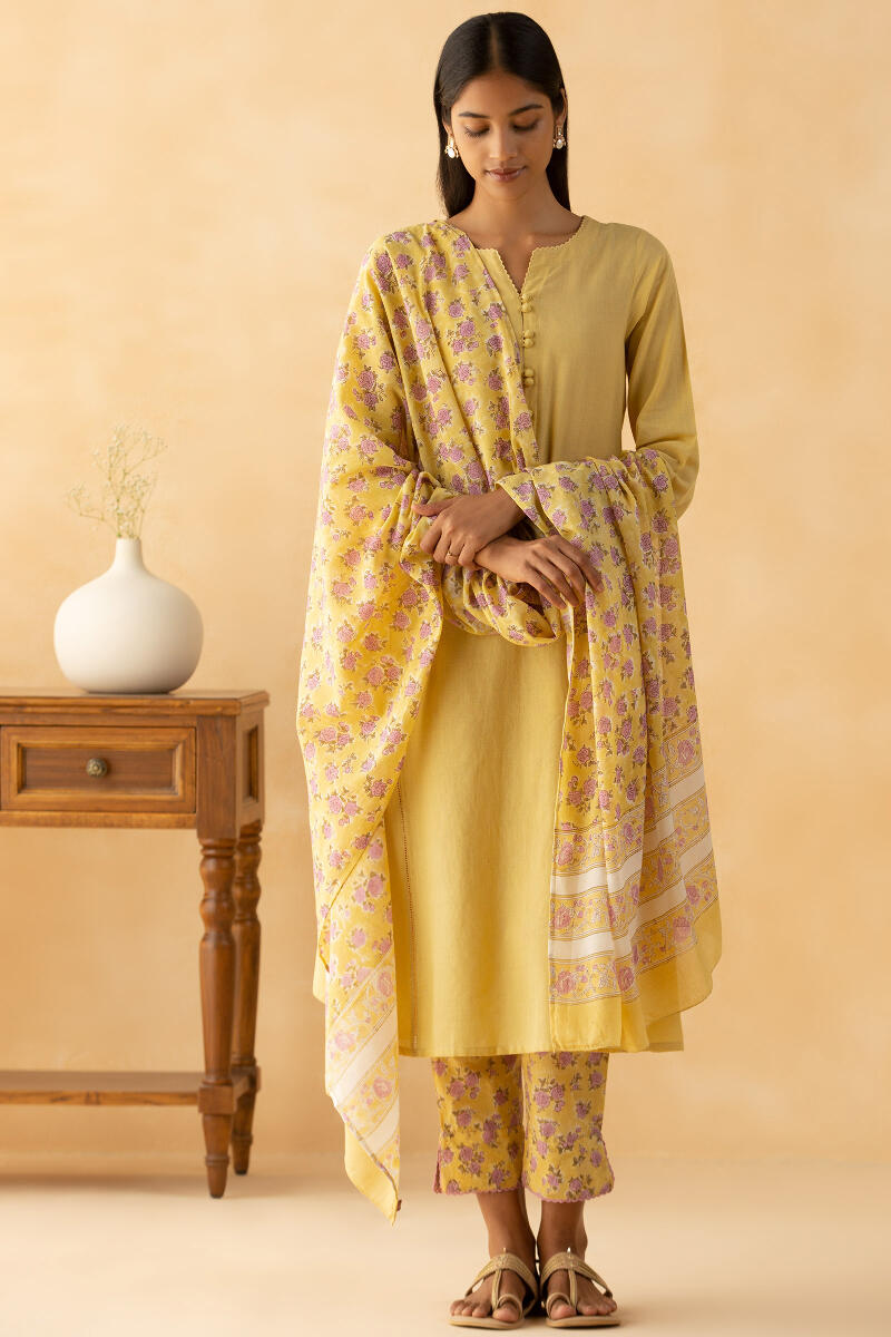 Gulbarg Sahira Sanganeri Narrow Pants