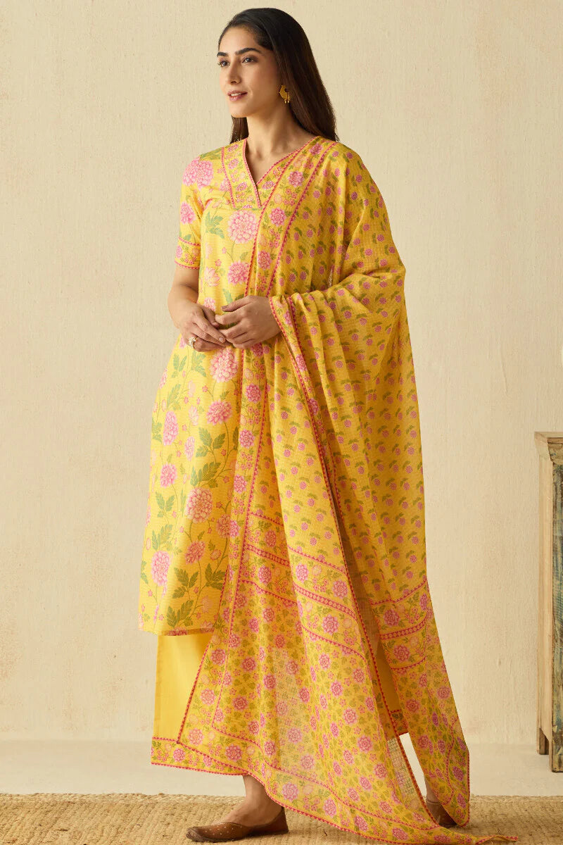 Surplus: Meher Sneha Farsi