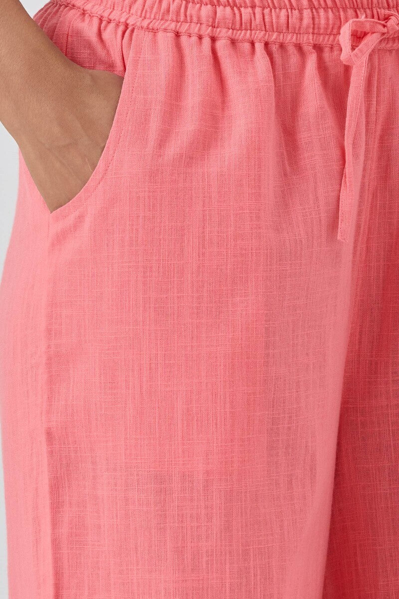 Roza Seerat Candy Pink Farsi