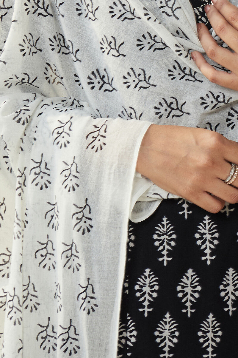 Mirza Ameera Dupatta