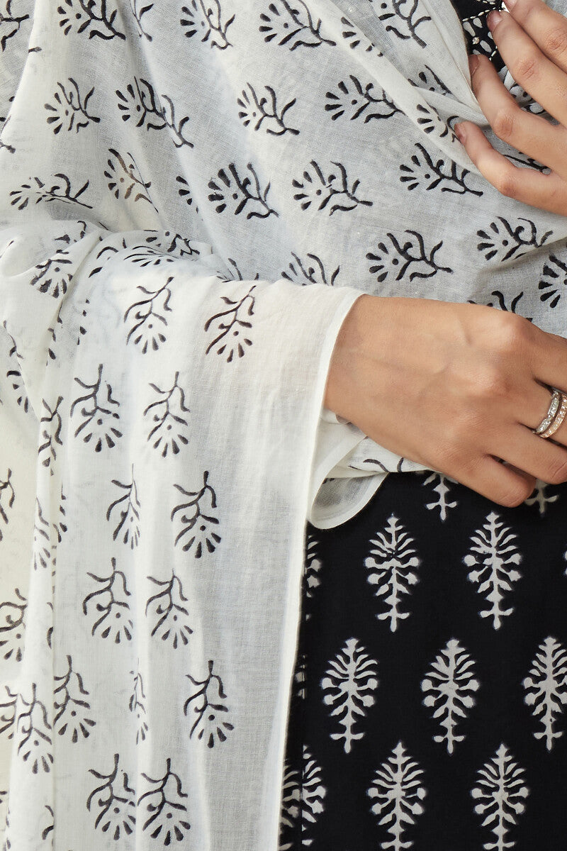 Mirza Ameera Dupatta