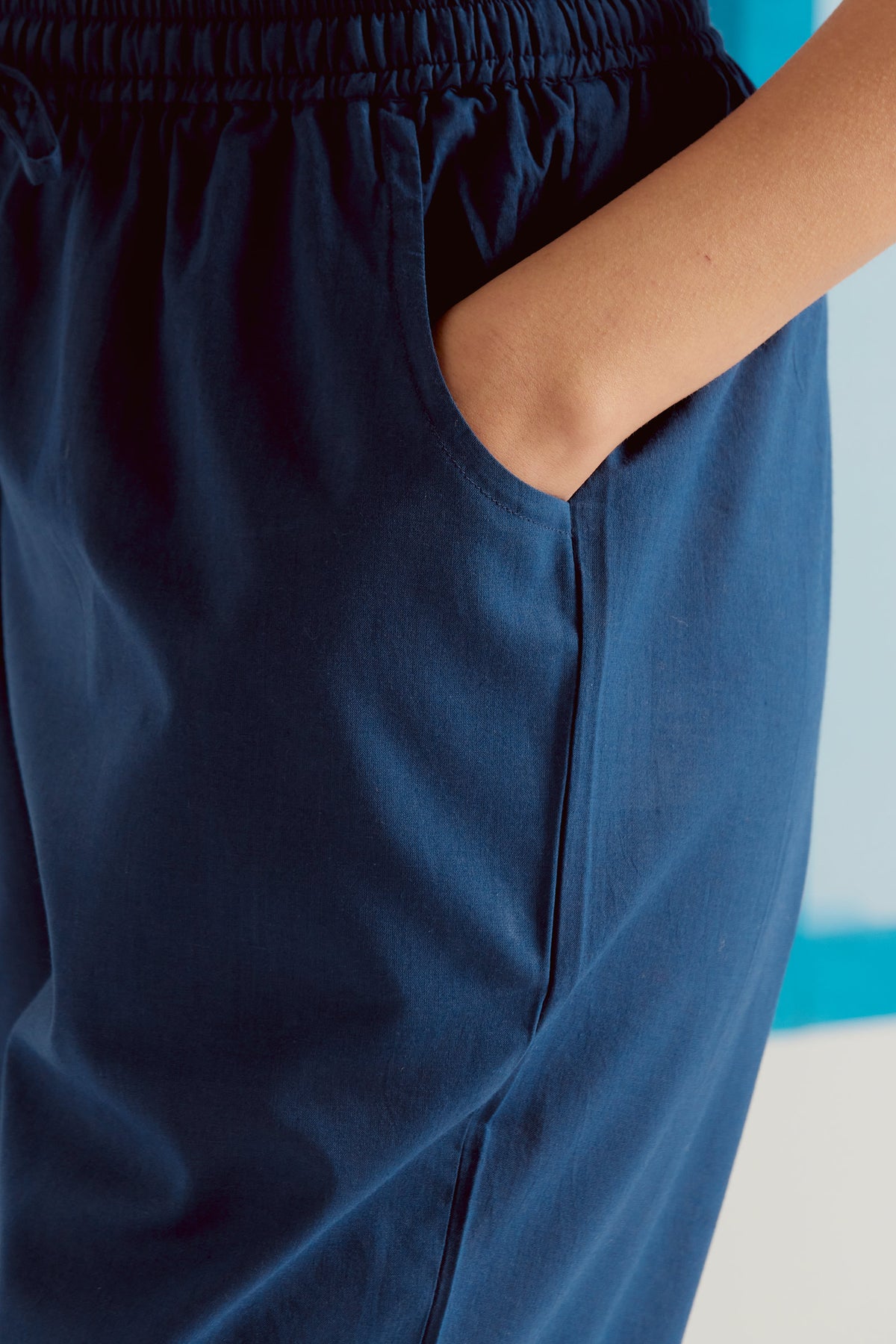 Roza Sehr Blue Narrow Pants