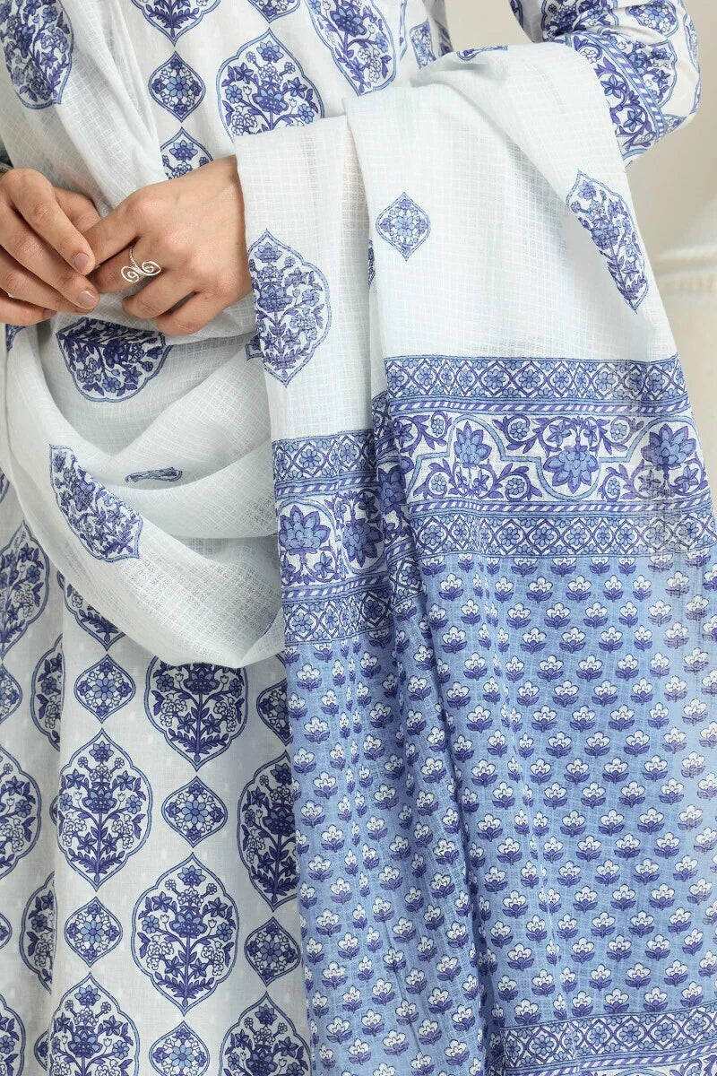 Surplus: Neelofar Dupatta