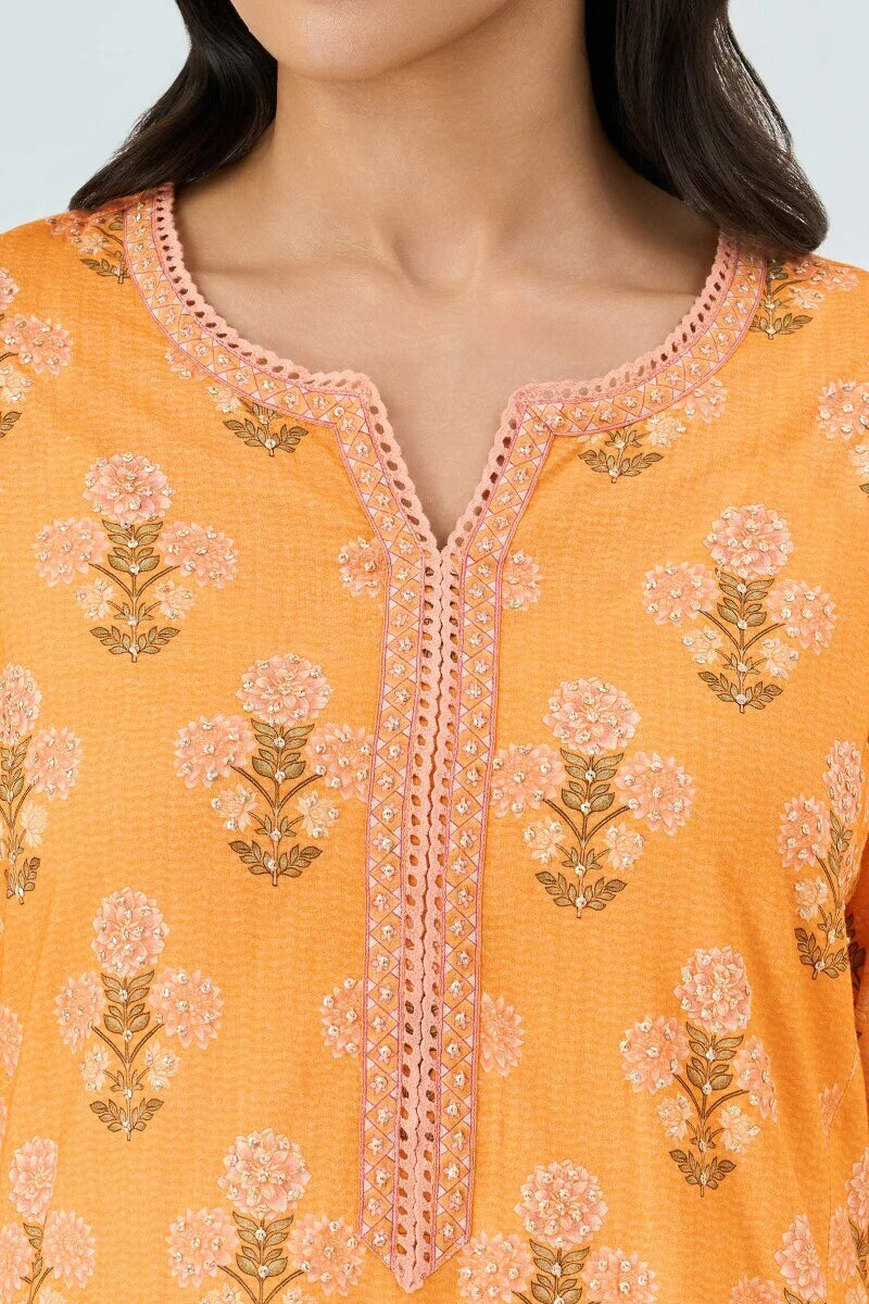 Surplus: Meher Zenia Kurta