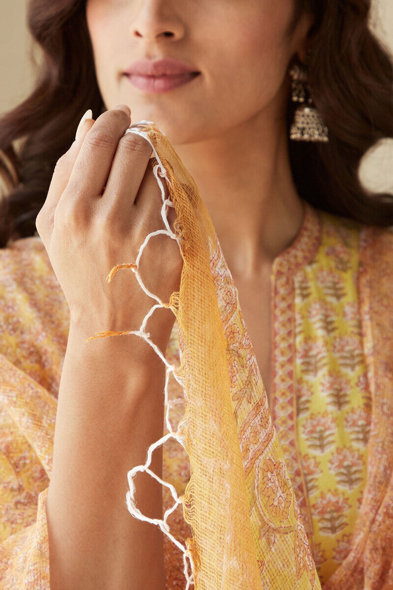 Mehnaz Sameera Sanganeri Dupatta