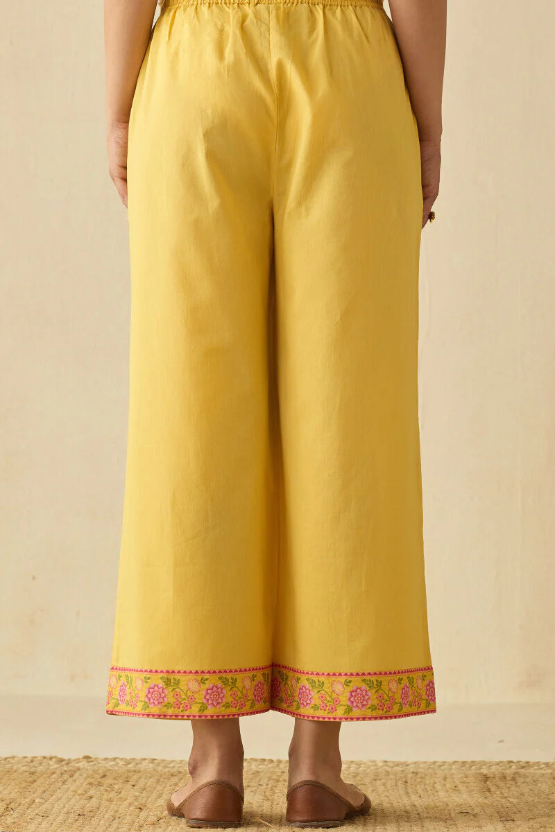 Surplus: Meher Sneha Farsi