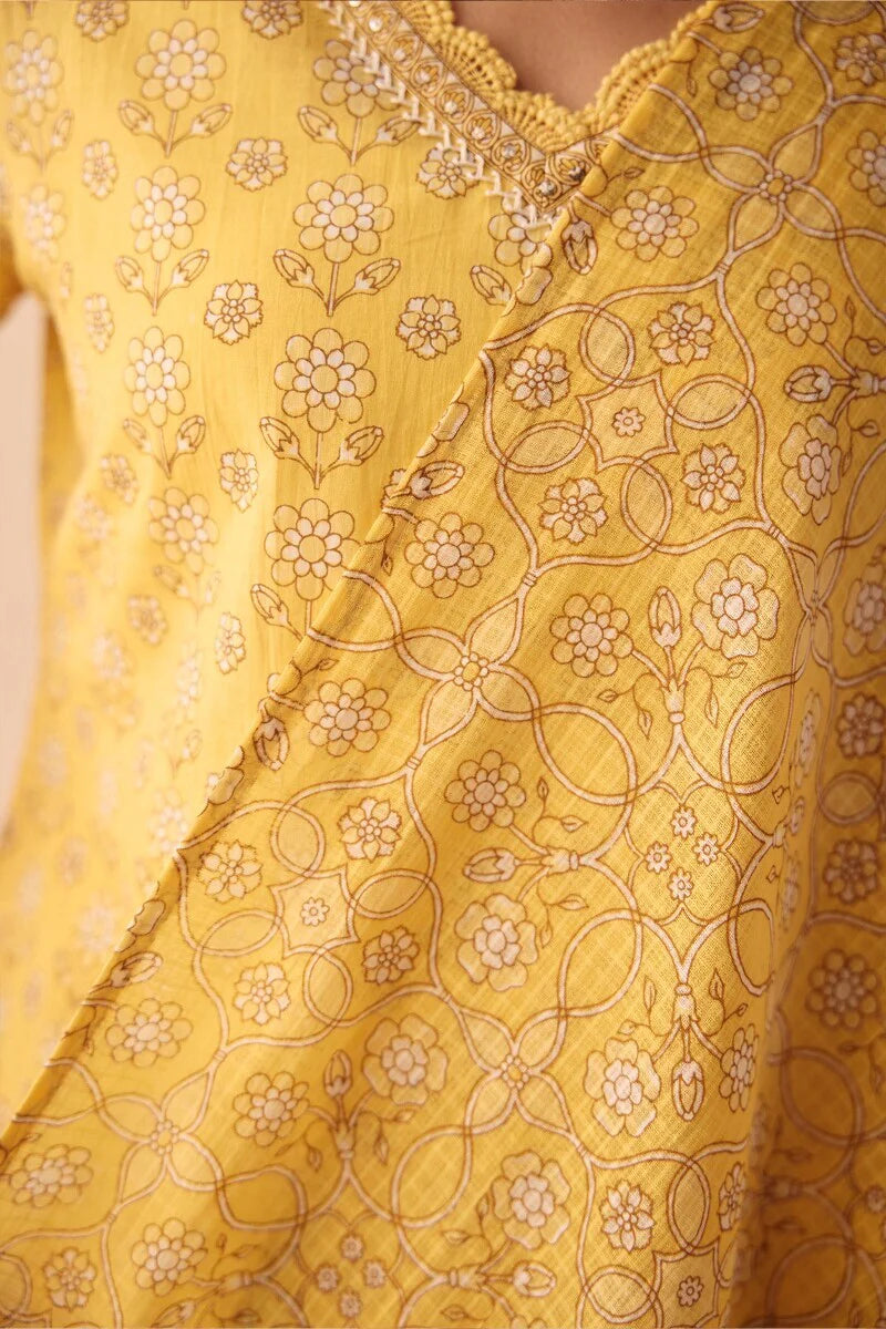 Surplus: Gulraiz Saisha Dupatta
