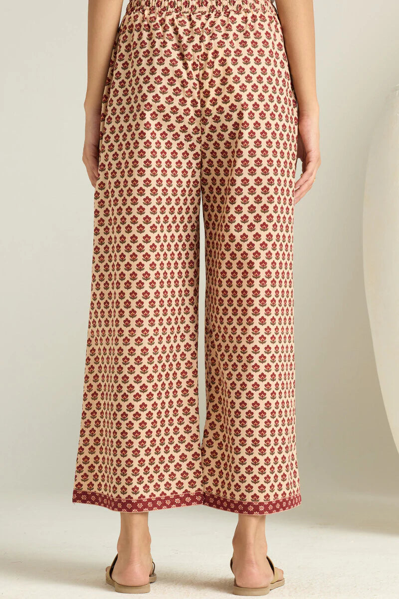 Surplus: Gulraiz Bahar Farsi