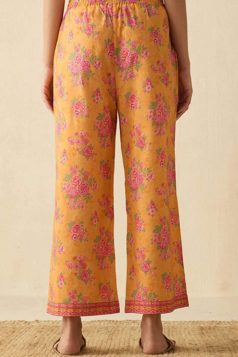 Surplus: Meher Falak Farsi