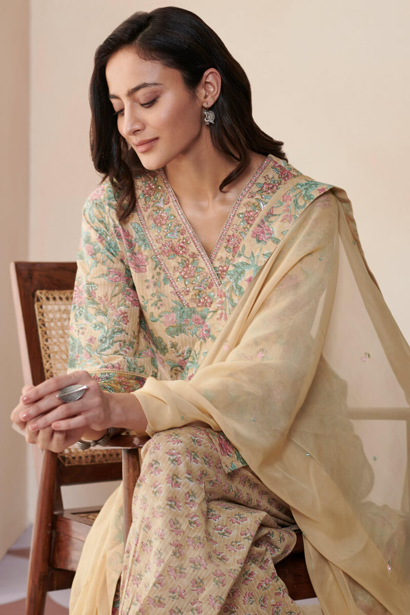 Nasrine Zarina Sanganeri Kurta