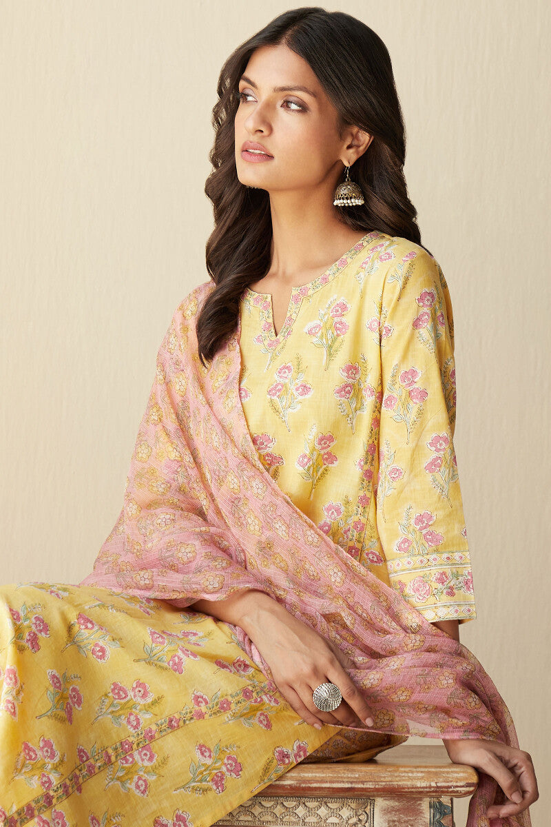 Gulshan Bagh Nida Sanganeri Kurta