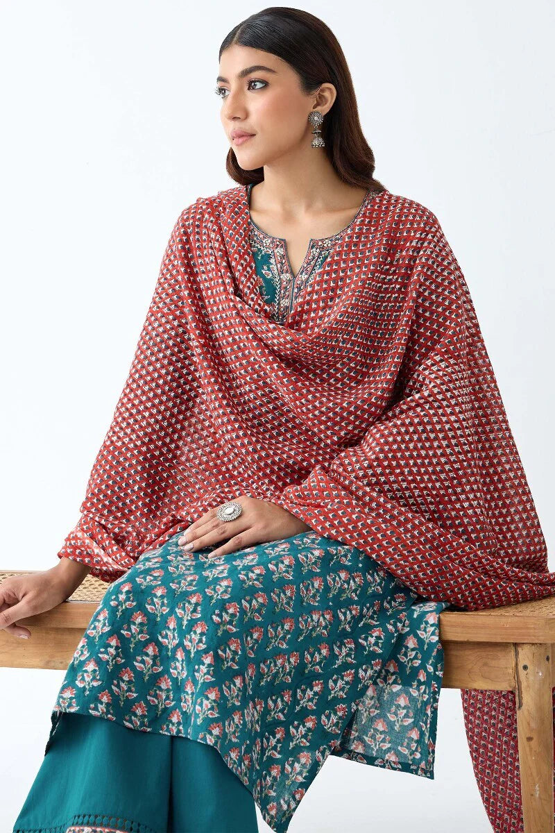 Surplus: Gauhar Zeenat Sanganeri Kurta