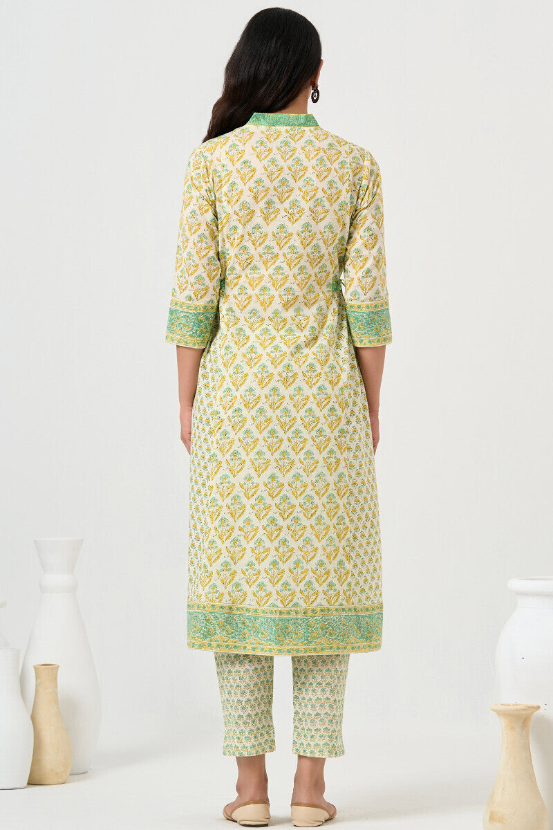 Roz Meher Aiza Kurta