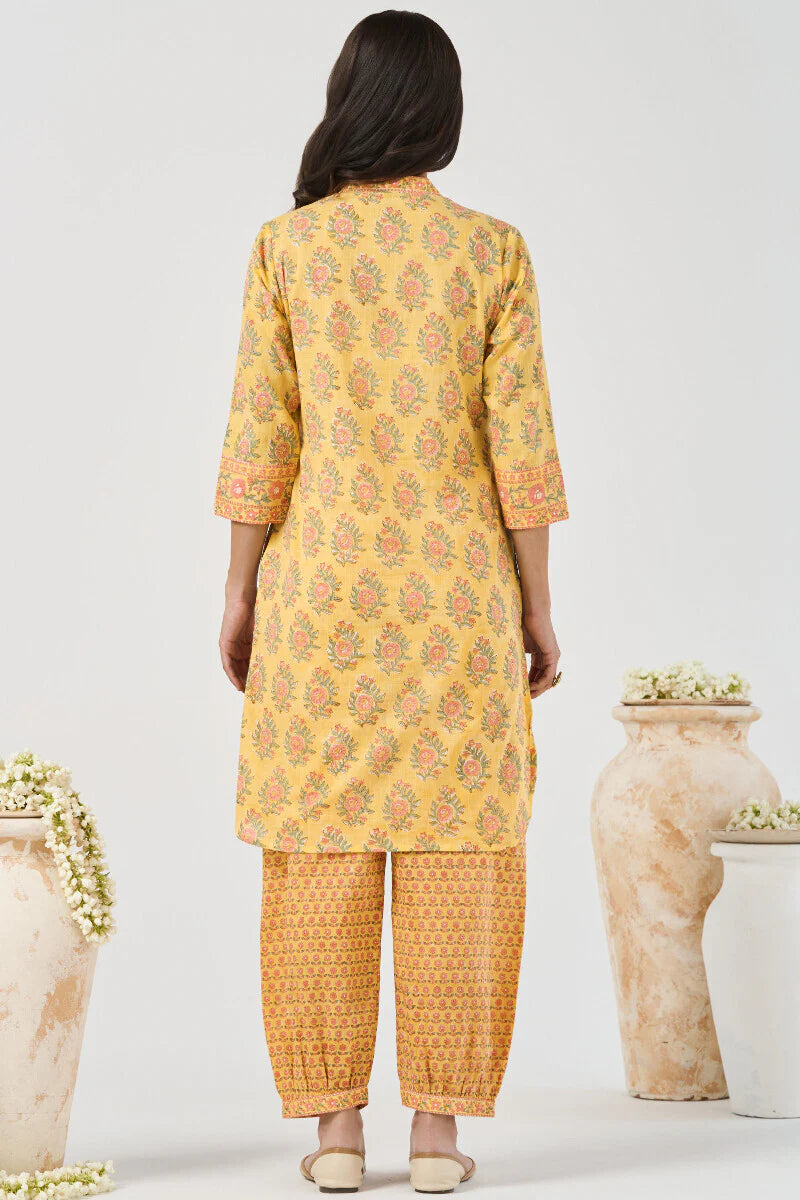 Surplus: Roz Meher Nizam Sanganeri Short Kurta
