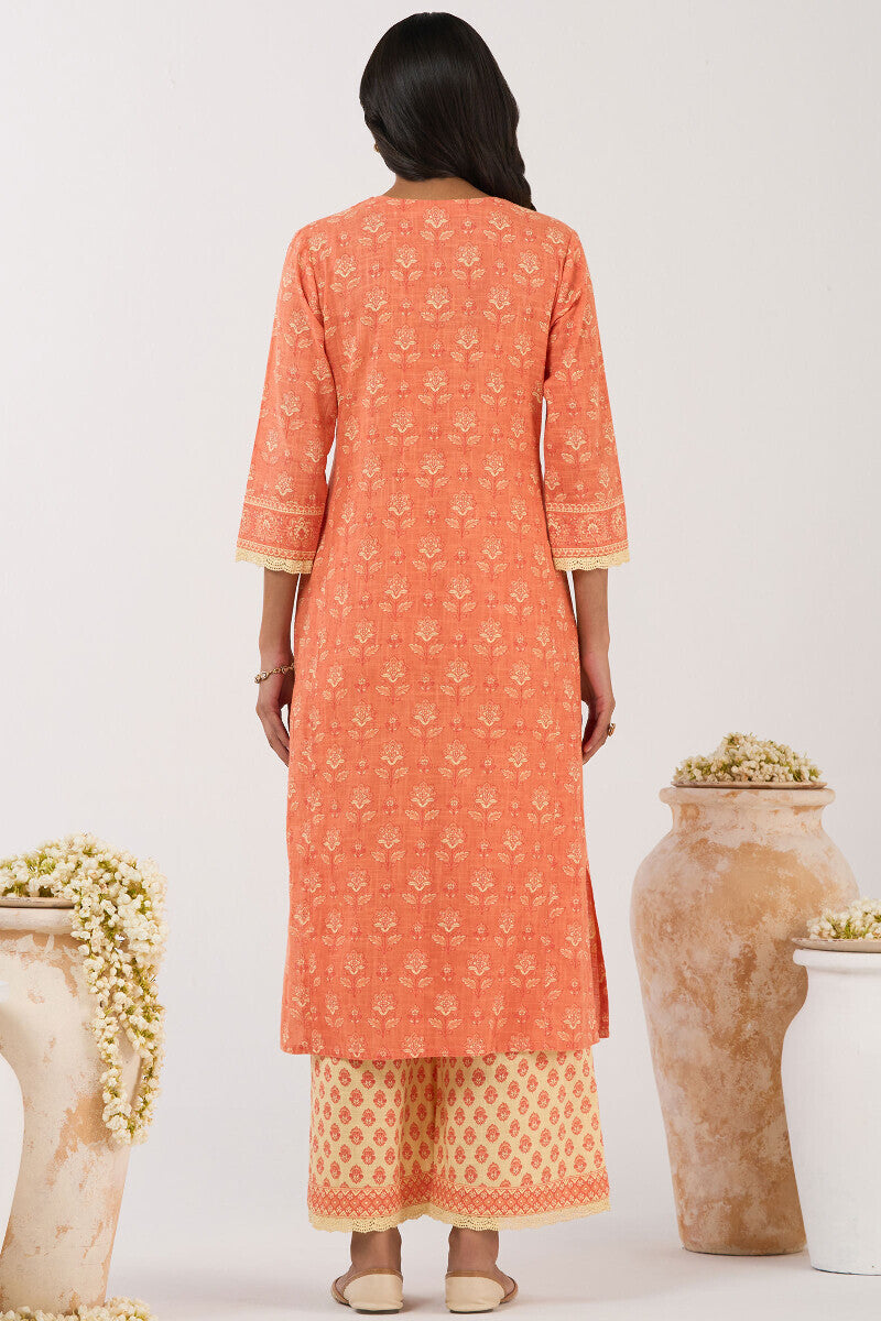 Gulshan Bagh Sabira Sanganeri Kurta