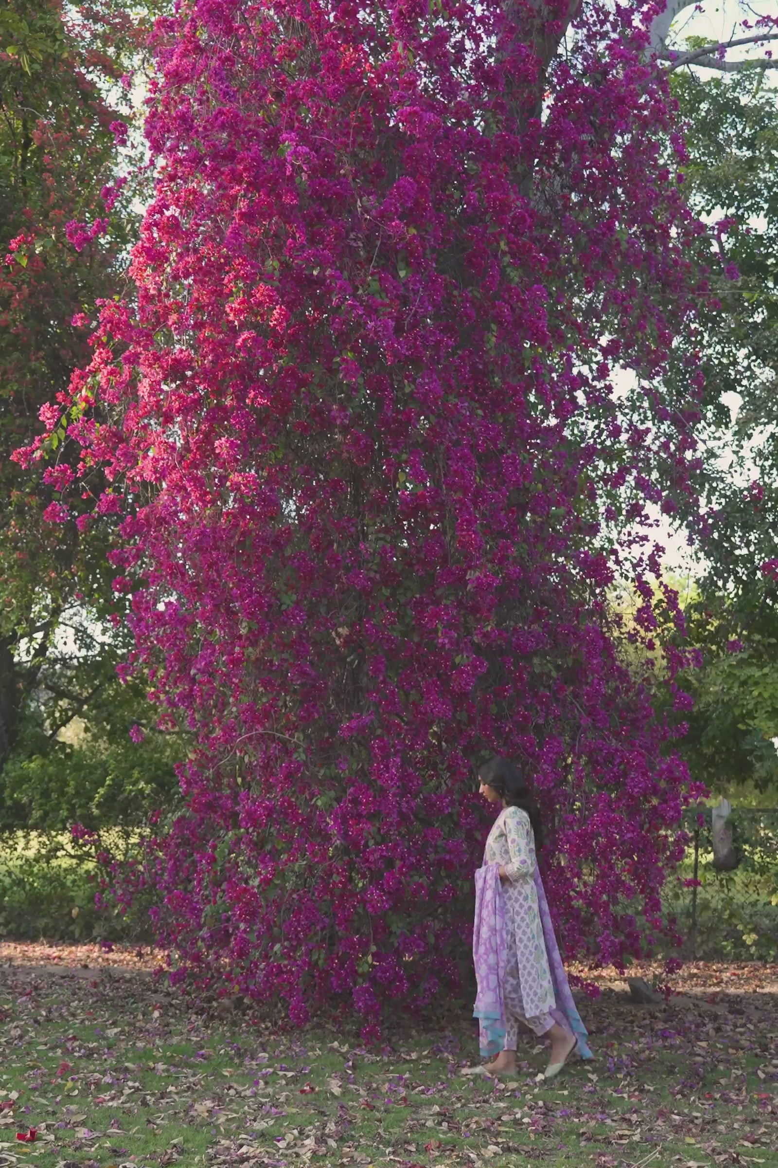 Gulbarg Fareena Sanganeri Kurta