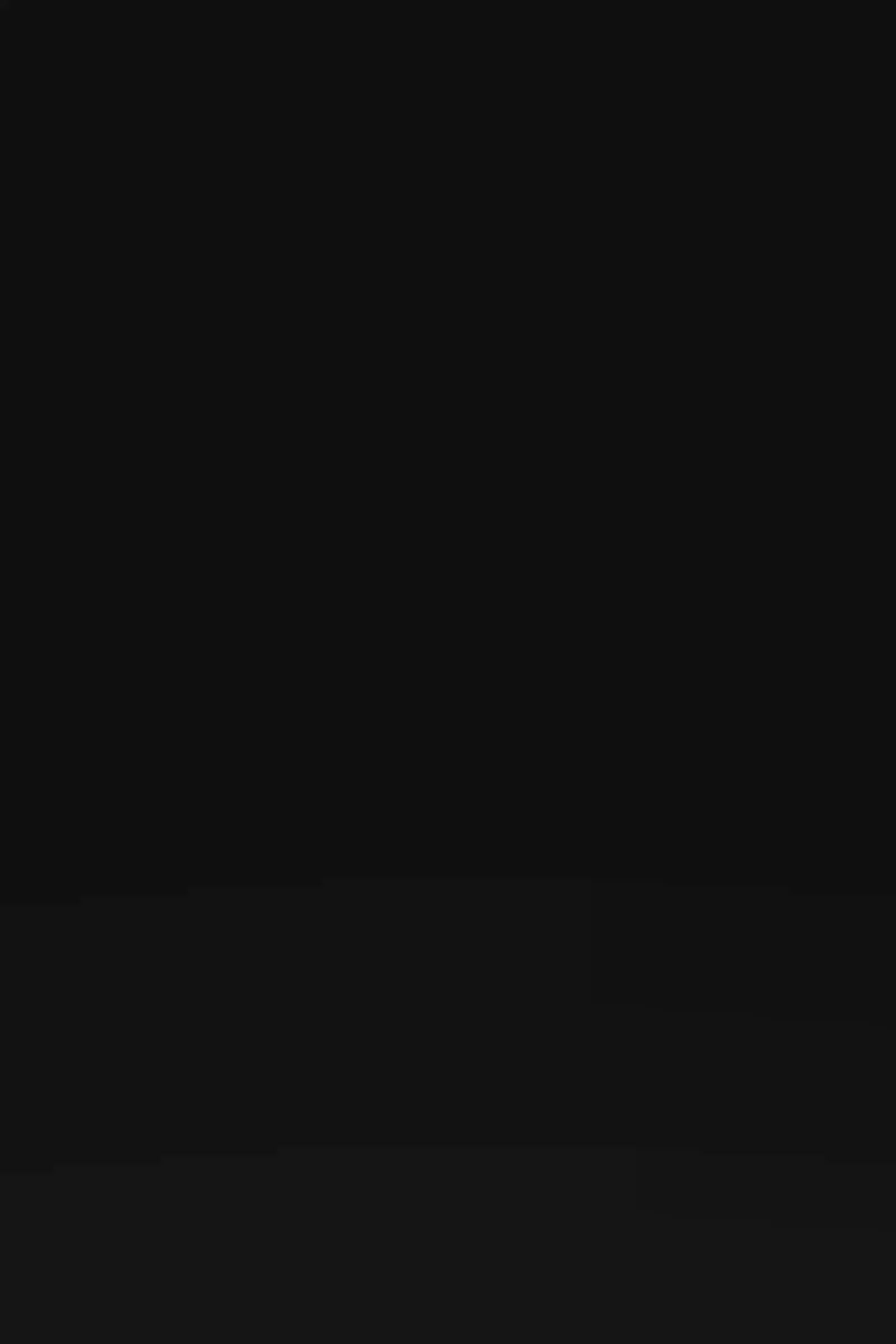 Roza Shaheen Backpack