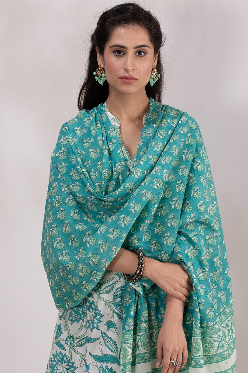 Roz Meher Kiara Dupatta