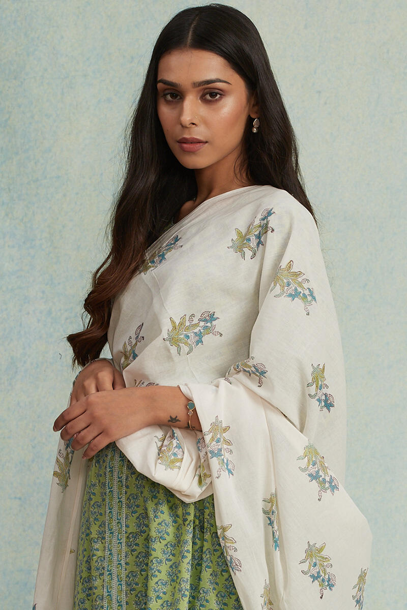 Roz Meher Shaima Dupatta