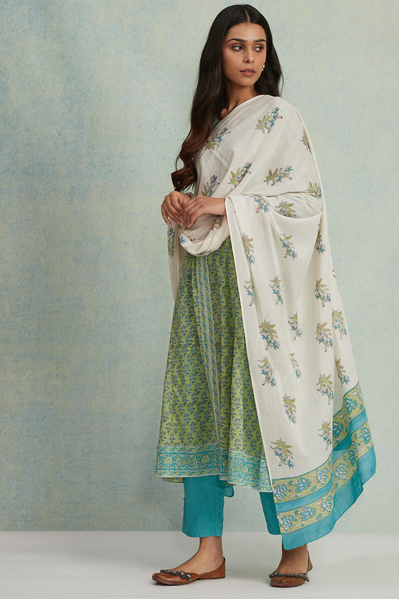 Roz Meher Shaima Dupatta