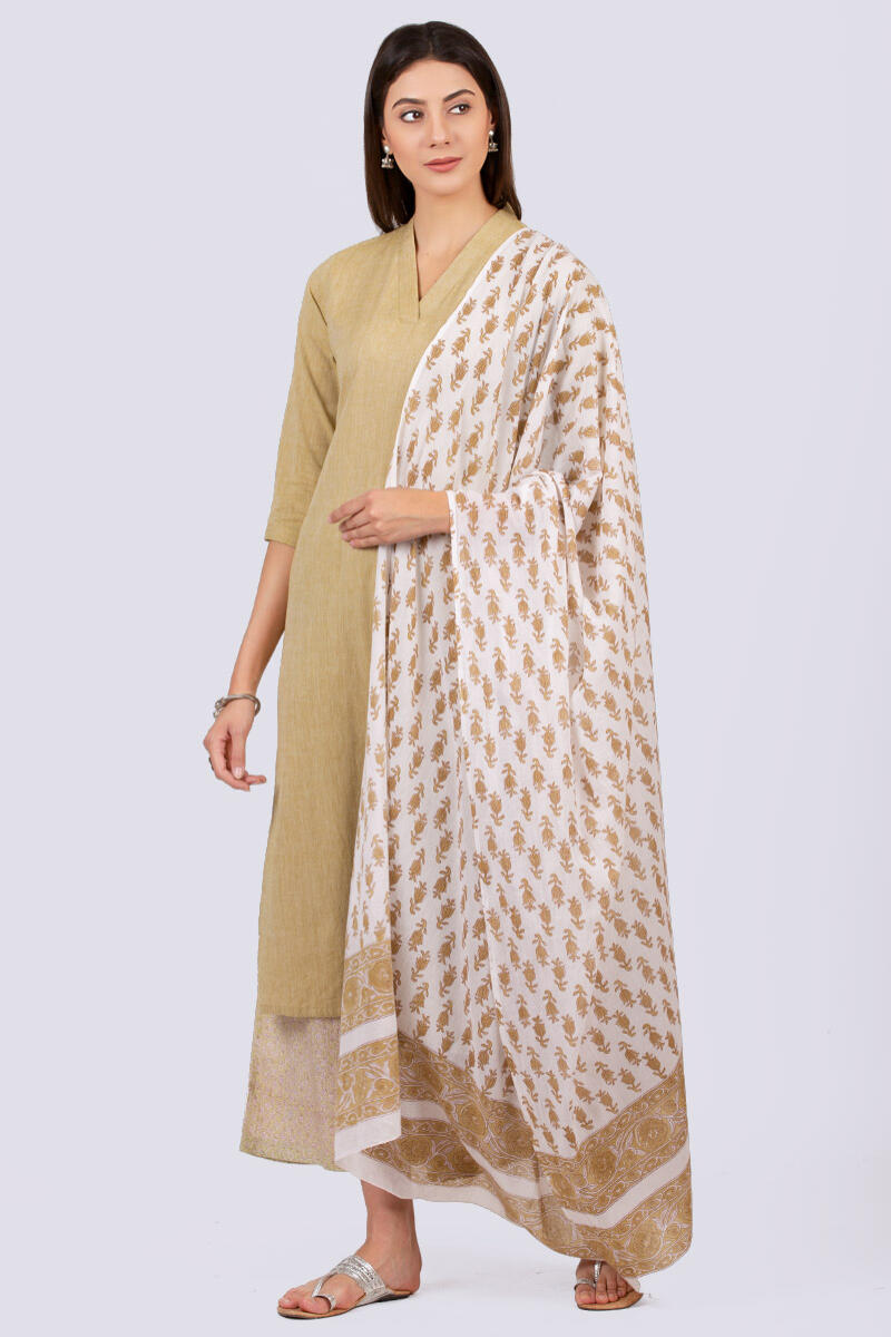 Roza Farah Dupatta
