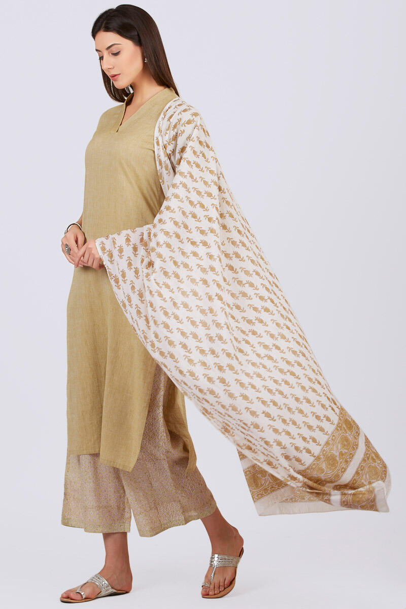 Roza Farah Dupatta
